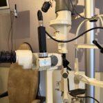 Kazantzis-nikolaos-iatreio-ofthalmologiko (37)